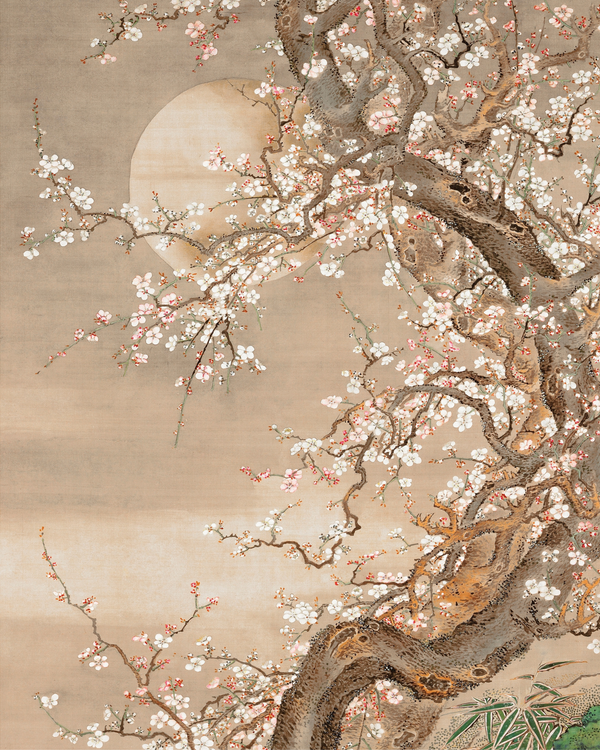 Hiriaki Takahashi: A Modern Visionary Rooted in Japanese Tradition