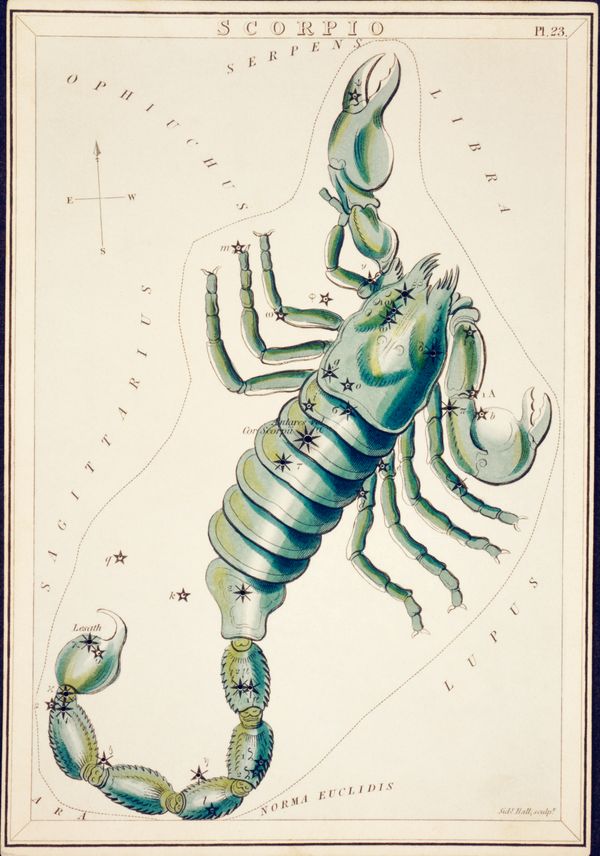 The Importance of Horoscope: Understanding the Influence of Astrology