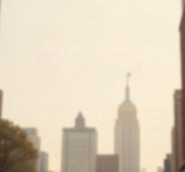 Why It Ends With Us by Colleen Hoover Is a Book That Stays With You